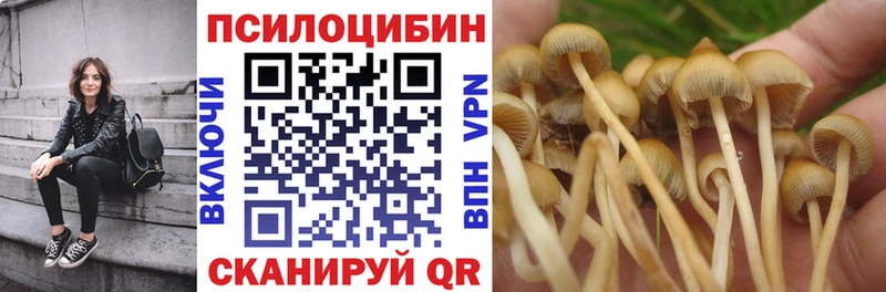 мега маркетплейс  Реж  Псилоцибиновые грибы Psilocybine cubensis 